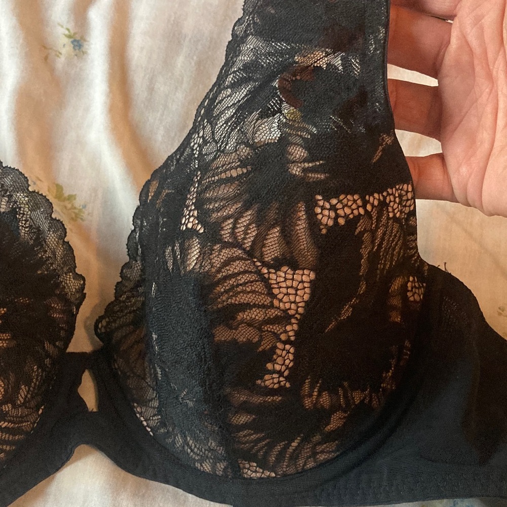 Padma Black Lace Bra - Picture 16 of 16